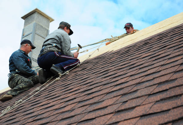 Quick and Trustworthy Emergency Roof Repair Services in Lexington Park, MD